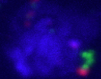 Screen shot 2011-04-12 at 6.37.11 PM