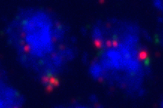 cadN_01_p2
