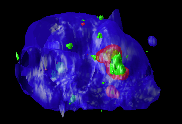 cadN_01_v3