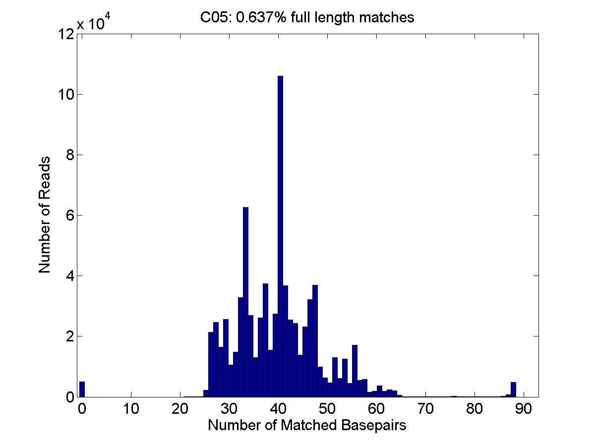 C05_MatchFrequency