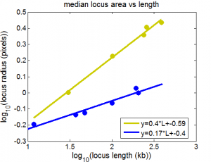 Lib3_RgData
