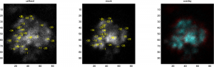 posControl_Block_1_Cell_08