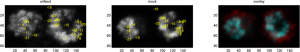 posControl_Block_3_Cell_12