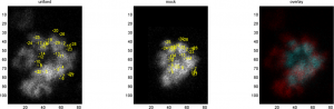 posControl_Block_3_Cell_13